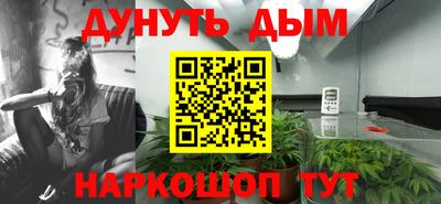 каннабис Новозыбков