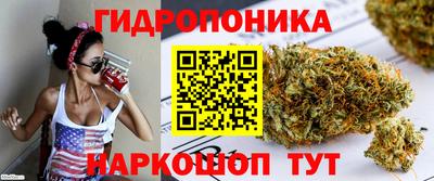 каннабис Новозыбков