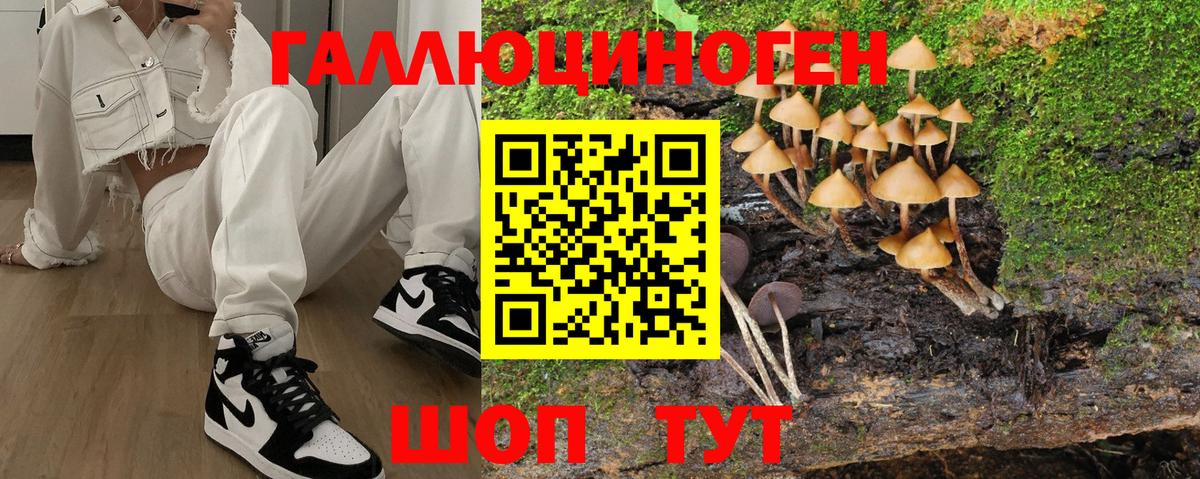 Вязьма  Псилоцибиновые грибы Magic Shrooms  Вход с VPN 